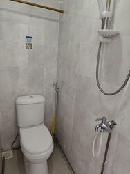 The Sunny Spring (D14), Apartment #536591171